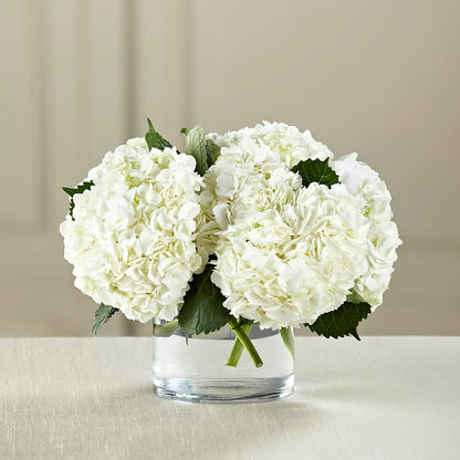 White Hydrangea Bouquet – MARY'S GIFT SHOP, Watsonville CA